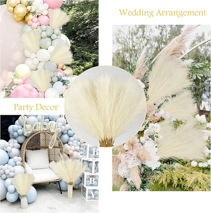 50PCS Faux Pampas Grass, 21.6" Short Artificial Pompous Grass Floral Fake Pompas Grass Branches Vase Filler Flower Arrangement for Home Wedding Boho Decor, Beige