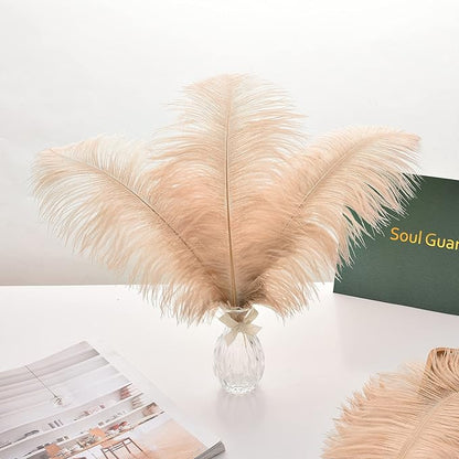 Ballinger Large Champagne Ostrich Feathers - 24pcs 8-10inch Boho Feathers for vase and Home Decor Wedding Party Centerpieces