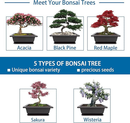 Bonsai Starter Kit, 5 Seeds Growing into Acacia, Wisteria, Sakura, Red Maple and Black Pine, Including Complete Gardening Tools with A Gift Box, Christmas Gifts for Men Women Beginners