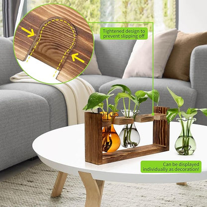 Plant Propagation Station Plant Terrarium Unique Birthday Gifts for Women Home Office Decor Planter with Wooden Stand - 3 Bulb Glass Vase