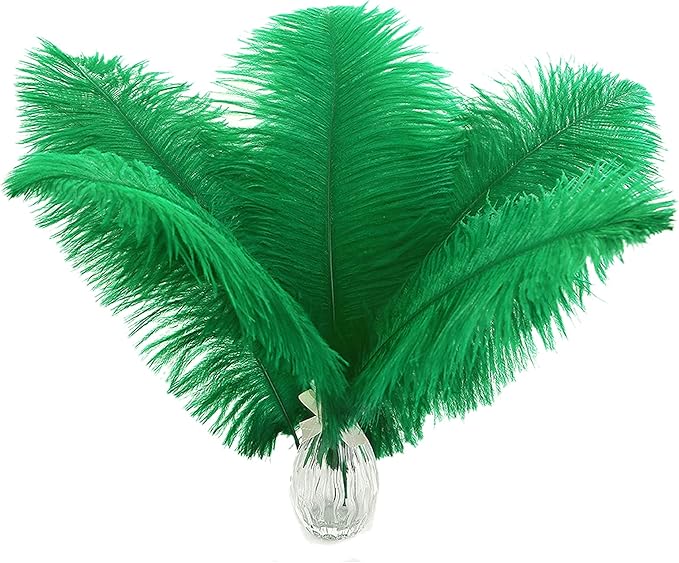 Ballinger Craft Green Ostrich Feathers - 24pcs 8-10inch Feathers for Vase, Wedding Party Centerpieces Mardi Gras Decorations and Home Decor…