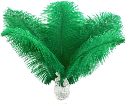 Ballinger Craft Green Ostrich Feathers - 24pcs 8-10inch Feathers for Vase, Wedding Party Centerpieces Mardi Gras Decorations and Home Decor…