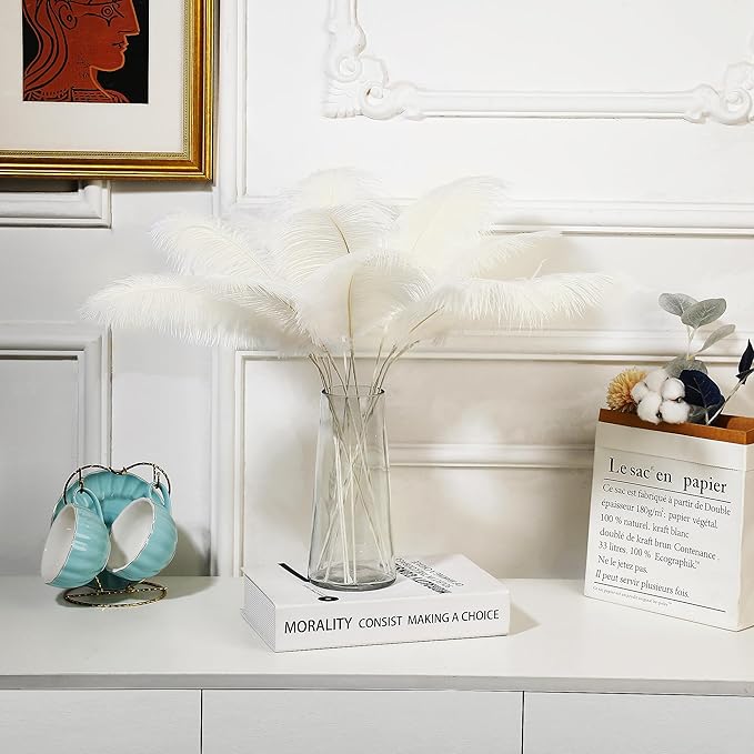Holmgren Beige Ostrich Feathers Bulk - 20pcs Making Kit 22 Inch Boho Ostrich Feathers for Vase, Floral Arrangement, Wedding Party Centerpieces and Christmas Home Decorations (Beige)