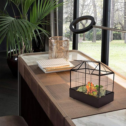 Large Tall Plant Terrarium Glass Greenhouse with Lid and Tray, Indoor Tabletop Orchid Succulent Cacti Kit 9.5'X9.8'X5.6'