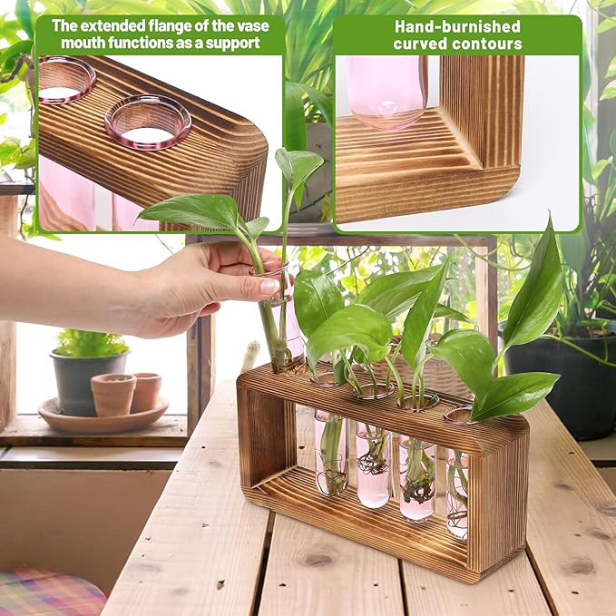 Glass Plant Propagation Station with 5 Test Tubes Colorful Planter Vase Birthday Gifts for Women in Wooden Stand