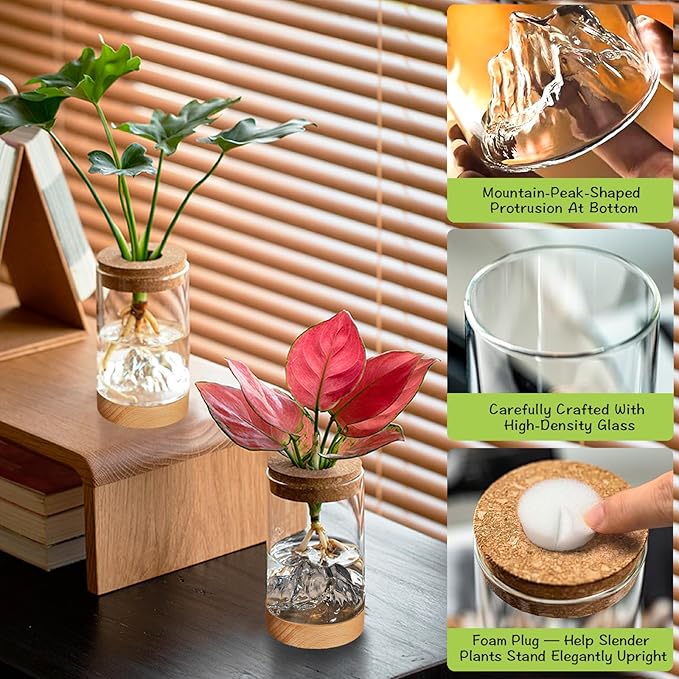 2Pcs Plant Propagation Station with Mountain-Shaped Bottom - Hydroponic Glass Vases, Wooden Base with Lighting, Terrarium Jars for Indoor Growing, Desktop Vivarium, Ideal Gifts for Plant Lovers