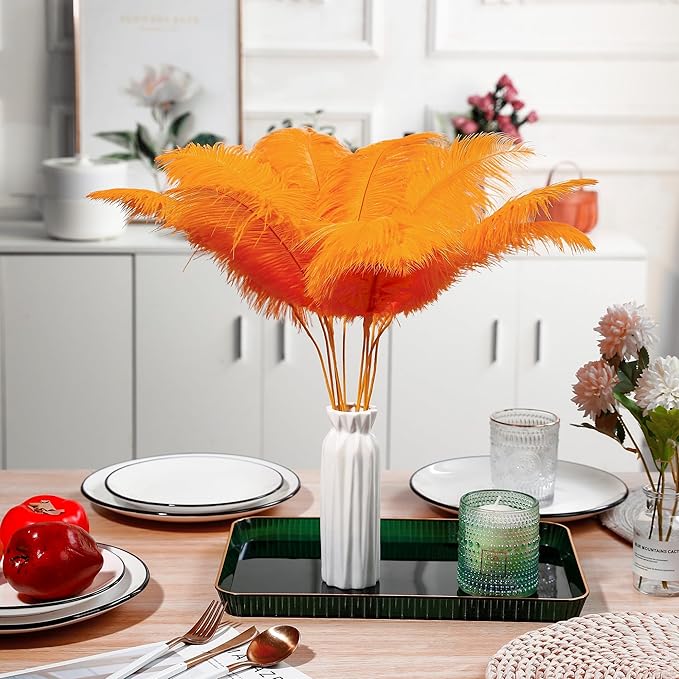 Holmgren Orange Ostrich Feathers Bulk - 20pcs Making Kit 22 Inch Ostrich Feathers for Vase, Floral Arrangement, Wedding Party Centerpieces and Halloween Home Decor (Orange)
