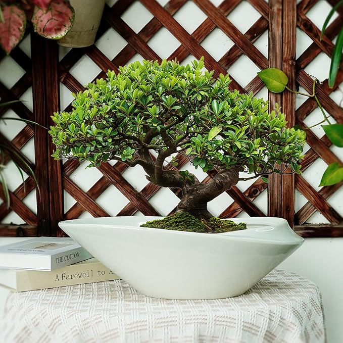 18 Inch Ceramic Bonsai Planter Pot with Drainage Hole, Glazed Large Plant Pot Succulent Planter for Indoor and Outdoor Plants Gray