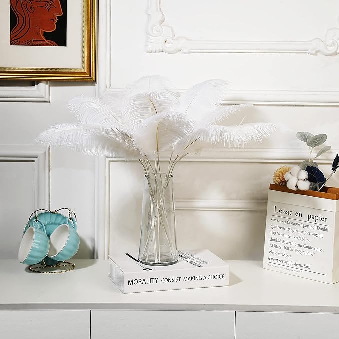 Holmgren White Ostrich Feathers Bulk - 20pcs Making Kit 22 Inch Large Ostrich Feathers for Vase, Floral Arrangement, Wedding Party Centerpieces and Christmas Home Decorations (White)