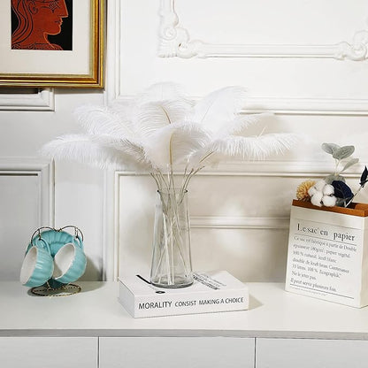 Holmgren White Ostrich Feathers Bulk - 20pcs Making Kit 22 Inch Large Ostrich Feathers for Vase, Floral Arrangement, Wedding Party Centerpieces and Christmas Home Decorations (White)