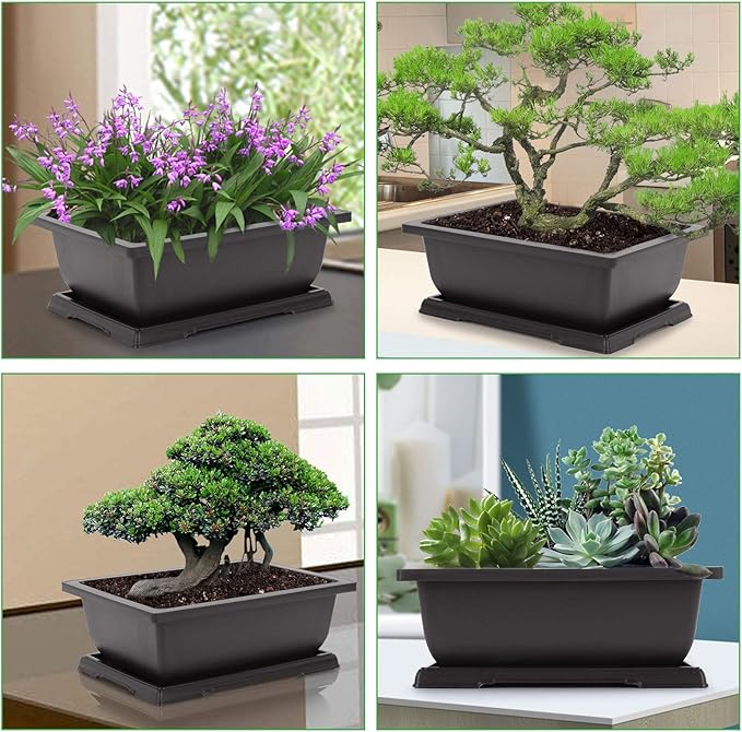 GROWNEER Bonsai Pots 3 Packs 11 Inch Bonsai Tree Training Pot with Humidity Drainage Trays & Repotting Mat Rectangle Planter Plants Starter Kit Growing for Garden Yard Office Indoor Outdoor