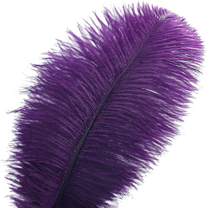 Ballinger Purple Ostrich Feathers Bulk - 24Pcs 8-10inch Feathers for Vase, Party Centerpieces Mardi Gras and Home Decor