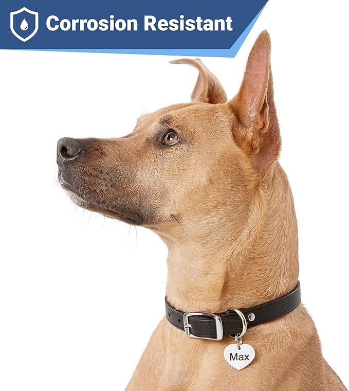 GoTags Stainless Steel Pet ID Tags, Personalized Dog Tags and Cat Tags, up to 8 Lines of Custom Text, Engraved on Both Sides, in Bone, Round, Heart, Bowtie and More (Heart, Regular (Pack of 1))