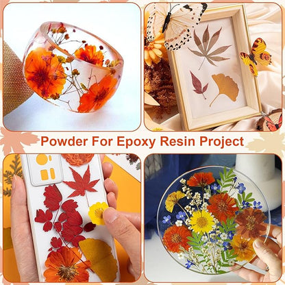 78 Pcs Fall Dried Pressed Flowers with Tweezer, Fall Themed Real Dried Flowers Leaves for DIY Crafts Resin Molds, Yellow Orange Dried Flowers for Autumn Halloween Thanksgiving Decorations