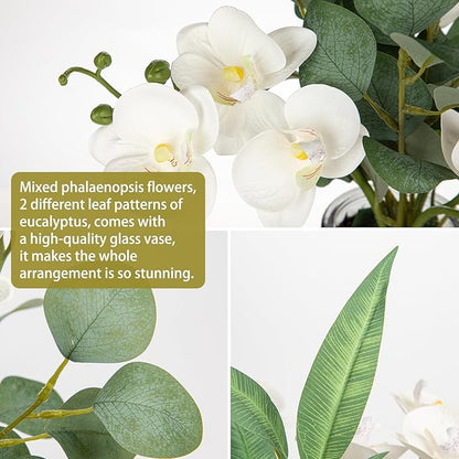 White Orchids Artificial Flowers with Vase Fake Flower in Vase Artificial Eucalyptus Stems in Glass Vases with Faux Water Faux Orchid with Eucalyptus Leaves Arrangement for Dining Table Centerpiece