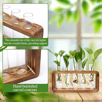Glass Plant Propagation Station with 5 Test Tubes Colorful Planter Vase Birthday Gifts for Women Mom Plant Lovers with Wooden Stand