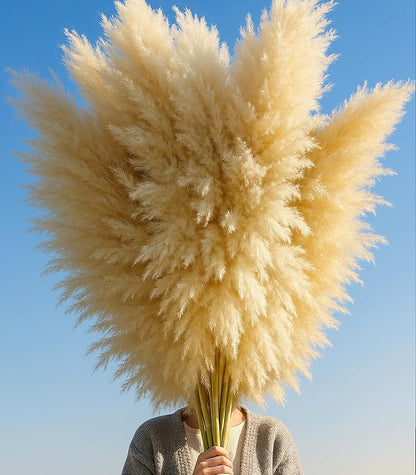 10 PCS 40" Tall Pampas Grass Stems in Natural Beige, Add a Boho Touch to Your Space—Pompas Grass Ideal for Floral Arrangements, Floor Vases, Weddings, and Creating a Bohemian Ambiance at Home.