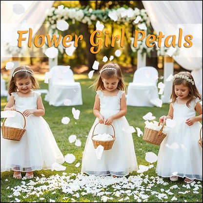 300 PCS Real White Rose Petals for Wedding, 2.82oz Fresh Rose Petals for Flower Girl to Throw, Flower Petal for Romantic Night Table Shower Party Decor