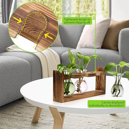 Plant Propagation Station Plant Terrarium Unique Birthday Gifts for Women Home Office Decor Planter with Wooden Stand - 3 Bulb Glass Vase