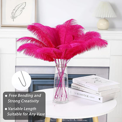 Holmgren Hot Pink Ostrich Feathers - 20pcs Making Kit 22 Inch Ostrich Feathers Bulk for Vase, Floral Arrangement, Home Wedding Party Centerpieces and Easter Gatsbi Decorations