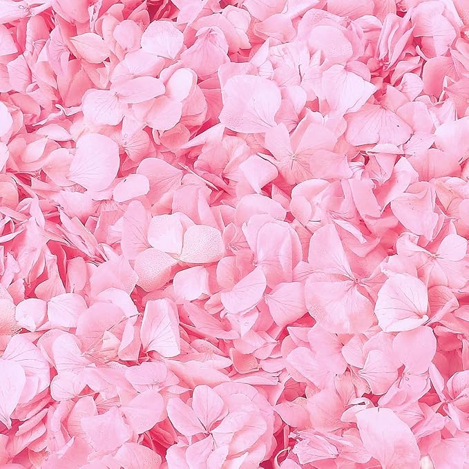 1500Pcs Real Hydrangea Pink Dried Flower Petals - 1.06 oz Natural Dried Pink Petals for Romantic Night, Her Set, Proposal Decor, Flower Girl Basket (30g)