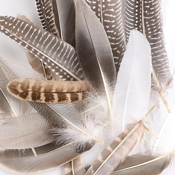 MAOFENG 20pcs Natural Pheasant Feathers Bulk 5 Styles Mixed Feathers Spotted Feathers for Craft DIY Wedding Home Hat Floral Arrangements Holiday Decorations