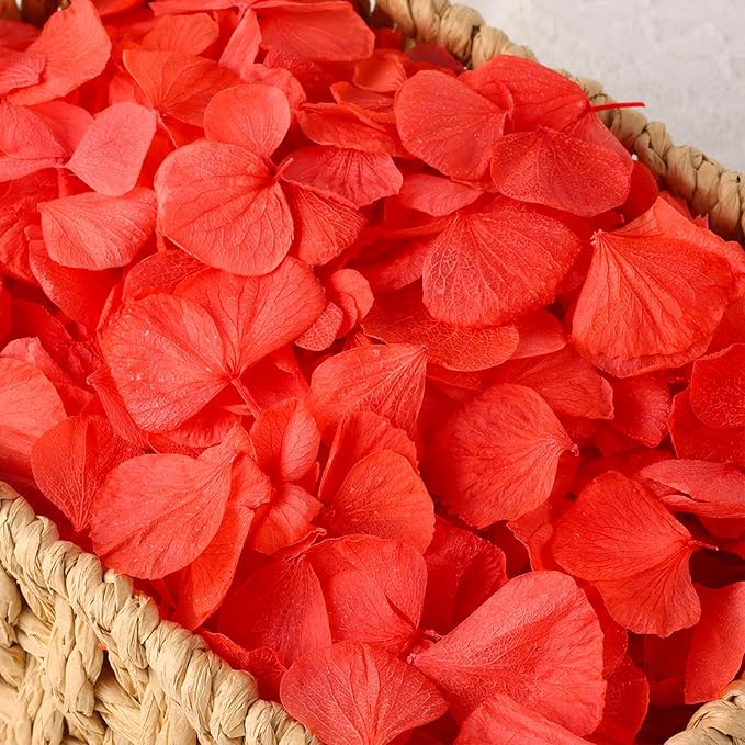 2500 PCS Red Hydrangea Petals 100% Natural Real Flower Petals for Wedding Aisle, Flower Girl Scattering Flowers, Will You Marry Me, Valentines, Romantic Night, Proposal, Anniversary, Special Night