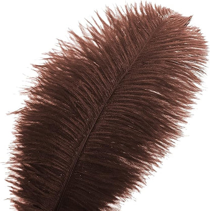 Ballinger Brown Big Ostrich Feathers - 24pcs 12-14inch Large Feathers for Party Centerpieces, Flower Arrangement and Home Decor
