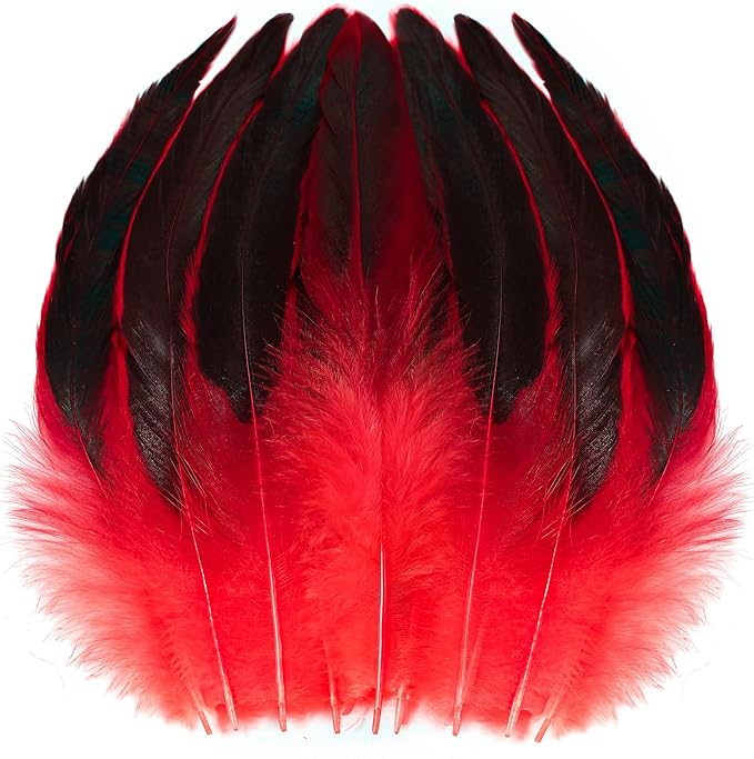 SOGUGOM Red Rooster Tail Feathers - 200 pcs 5-7 inch Craft Bulk Feathers for Craft Projects, Halloween, Hats and Party(Red)