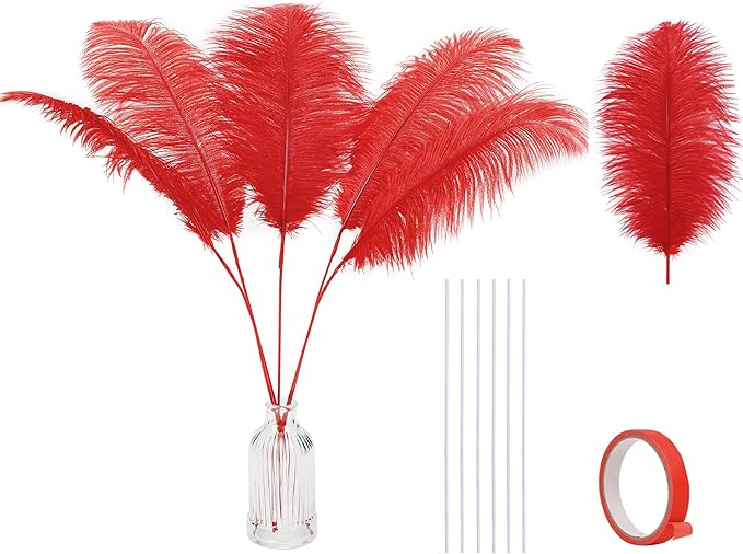 Holmgren Red Ostrich Feathers for Vase - 20pcs Making Kit 22 Inch Long Ostrich Feathers for Vase, Floral Arrangement, Wedding Party Centerpieces Home Decorations (Red)