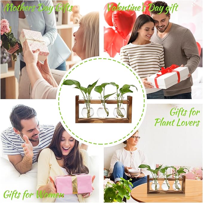 Plant Propagation Station Plant Terrarium Unique Birthday Gifts for Women Home Office Decor Planter with Wooden Stand - 3 Bulb Glass Vase
