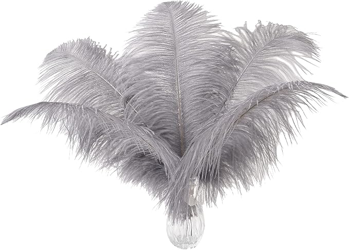 Ballinger Natural Gray Ostrich Feathers - 24pcs 8-10inch for Wedding Party Centerpieces Home Decor