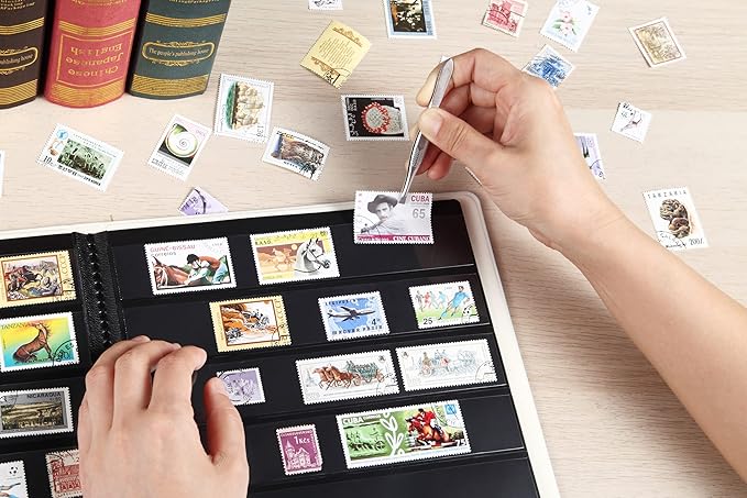 MUDOR Stamp Albums for Collectors, 1 Pockets Stamp Book for Collectors, 10 Sheets Stamp Stockbook, Black