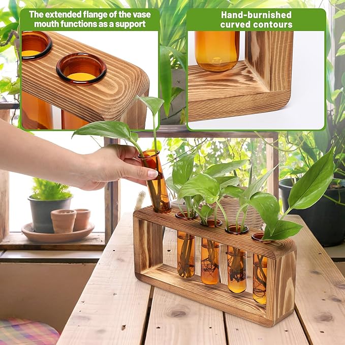 Glass Plant Propagation Station with 5 Test Tubes Colorful Planter Vase Birthday Gifts for Women in Wooden Stand
