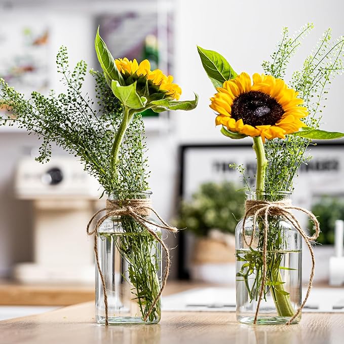 Vintage Glass Vases, Mason Jars for Centerpieces, Farmhouse Mason Jar Vase with Rope Design, Centerpiece Vases for Table, Wedding & Home Decor (6)