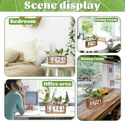 Glass Plant Propagation Station with 5 Test Tubes Colorful Planter Vase Birthday Gifts for Women in Wooden Stand