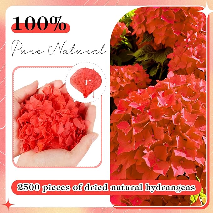 2500 PCS Red Hydrangea Petals 100% Natural Real Flower Petals for Wedding Aisle, Flower Girl Scattering Flowers, Will You Marry Me, Valentines, Romantic Night, Proposal, Anniversary, Special Night