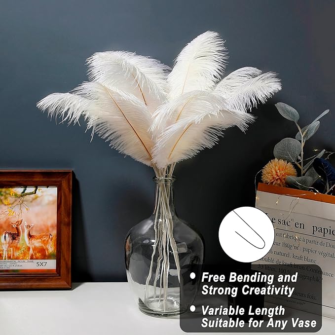 Holmgren Beige Ostrich Feathers Bulk - 20pcs Making Kit 22 Inch Boho Ostrich Feathers for Vase, Floral Arrangement, Wedding Party Centerpieces and Christmas Home Decorations (Beige)