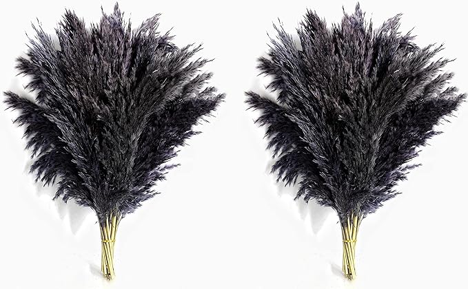 Black Pampas Grass for Home Decor - Elegant Boho Decor - Premium Quality Pampas Grass Stems - Perfect for House, Nursery, Western, Wedding, Table, and Bohemian Decor (20PCS)
