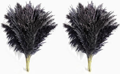 Black Pampas Grass for Home Decor - Elegant Boho Decor - Premium Quality Pampas Grass Stems - Perfect for House, Nursery, Western, Wedding, Table, and Bohemian Decor (20PCS)