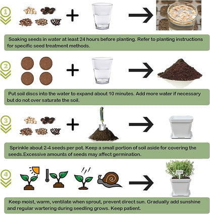 10 Herb Seeds Garden Starter Grow Kit with White Pots, Markers, Nutritional Soil, Watering, Herb Clipper, Complete Indoor Potted Plant Growing Set for Kitchen DIY