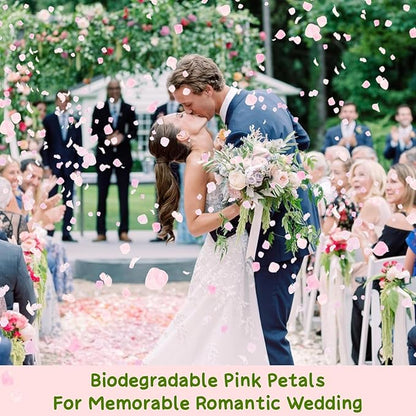 1500Pcs Real Hydrangea Pink Dried Flower Petals - 1.06 oz Natural Dried Pink Petals for Romantic Night, Her Set, Proposal Decor, Flower Girl Basket (30g)