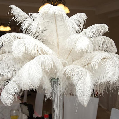 Hanaive 150 Pcs Ostrich Feathers Set Bulk Plumes 12-14 Inch (30-35cm) 70 Pcs Large Ostrich Feathers with 80 Sticks and Tape for DIY Crafts Wedding Home Party Centerpiece Decorations(White)