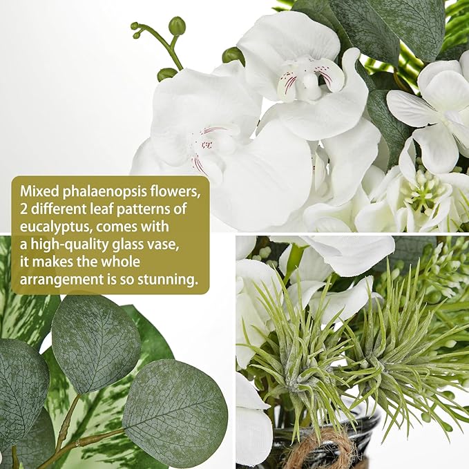 White Orchids Artificial Flowers with Vase Fake Flower in Vase Artificial Eucalyptus Stems in Glass Vases with Faux Water Faux Orchid with Evergreen Plant Arrangement for Dining Table Centerpiece