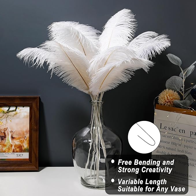 Holmgren White Ostrich Feathers Bulk - 20pcs Making Kit 22 Inch Large Ostrich Feathers for Vase, Floral Arrangement, Wedding Party Centerpieces and Christmas Home Decorations (White)