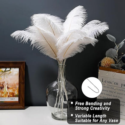 Holmgren White Ostrich Feathers Bulk - 20pcs Making Kit 22 Inch Large Ostrich Feathers for Vase, Floral Arrangement, Wedding Party Centerpieces and Christmas Home Decorations (White)