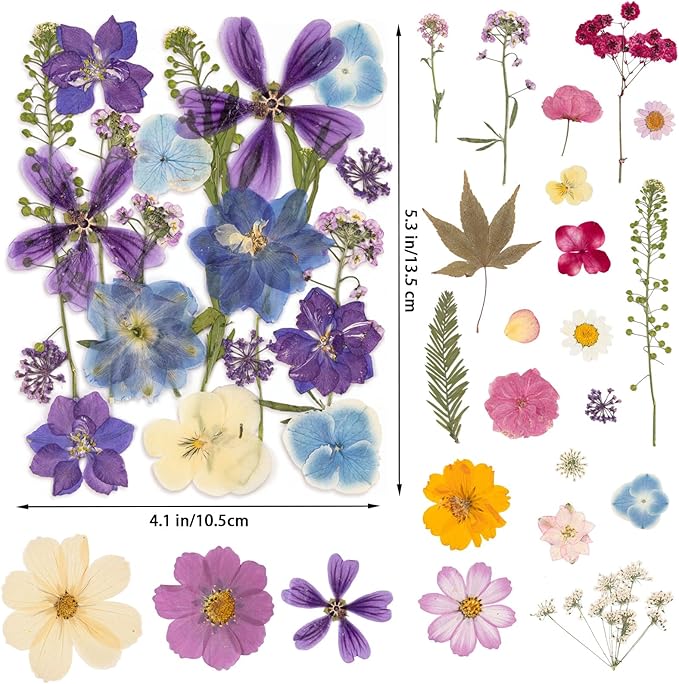 80PCS Spring Large Pressed Flowers Leaves , Real Nature Dry Flowers for Resin Craft, Larage Pressing Floral with Tweezers Set for DIY Jewelry Making Nail Card Scrapbook Art