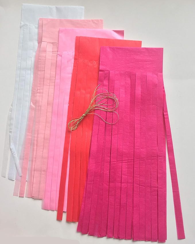Fonder Mols Tassel Garland DIY Kit (25pcs, Pink Ombre) - Balloon Tail Banner - Bachelorette Party & Baby Shower Decorations