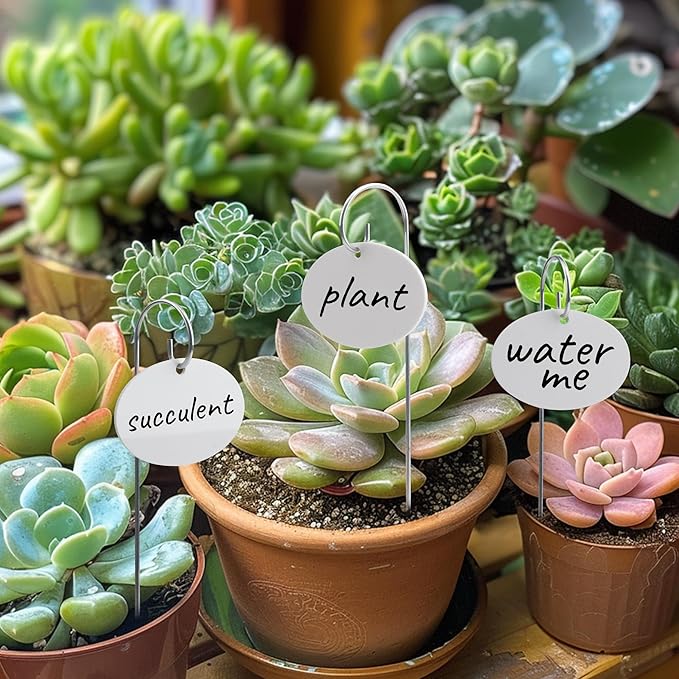 Temlum Plant Labels with Marker Pen, 25 Pcs Plant Garden Markers Garden Label Stakes Plant Sign Tags for Outdoor Plants, Flowers, Herbs, Seed (White)
