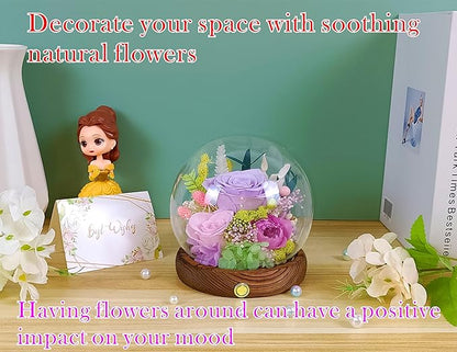 Valley of Rain & Forest Long-Lasting Real Flowers, Unique Floral Gift For you to send Love for All Occasions, for Indoor Decoration (Light-Purple Rose, Light-Pink & Purple-Pink Austin Roses)